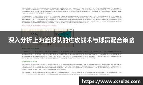 深入分析上海篮球队的进攻战术与球员配合策略